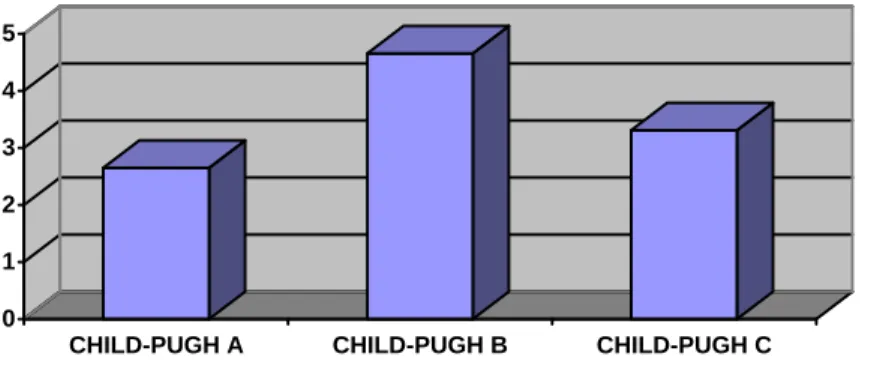 grafik olarak gösterilmesi.  