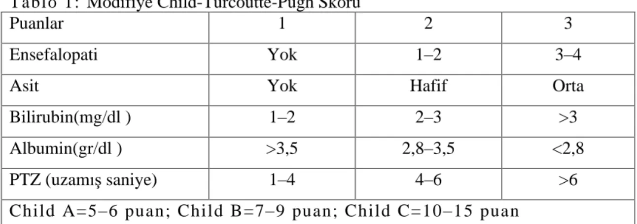 Tablo  1:  Modifiye Child-Turcoutte-Pugh Skoru  
