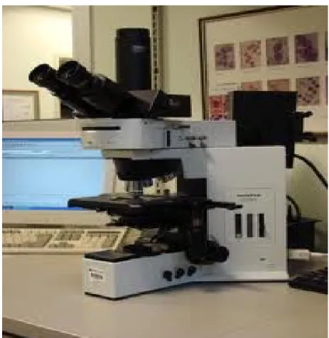 Şekil 1: Laboratuvarda kullanılan floresan mikroskop