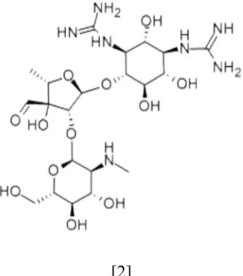 Çizelge 1.1. Cins  Streptomy Rare Actin Micromon Nocardia  Actinomad Actinoplan Streptover Streptospo Microbisp Datcylosp Saccharop Actinosynn Streptoallo Actinomyc Pseudonoc Micropoly Thermomo Kitasatosp Kibdelosp 1.2 Ak sahip olm aktinomise büyümekt 