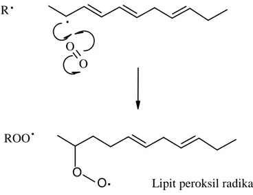 Şekil  2.14.  Konjuge  dienin  moleküler  oksijen  ile  reaksiyona  girip  lipit 
