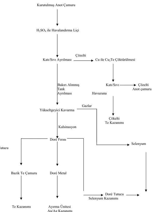 Şekil 1. 2 Anot çamurları için kullanılan H 2 SO 4  ile özütleme ve yükseltgeyici kavurmayı içeren  akım şeması (Copper 1990) 