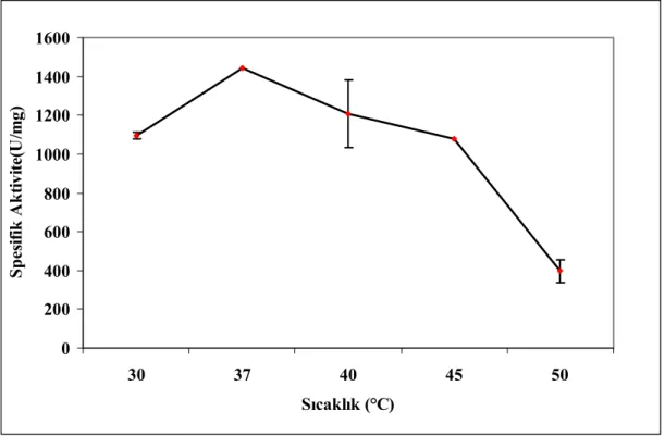 Şekil 4.5. α-Amilaz üretimine  inkübasyon sıcaklığının etkisi 