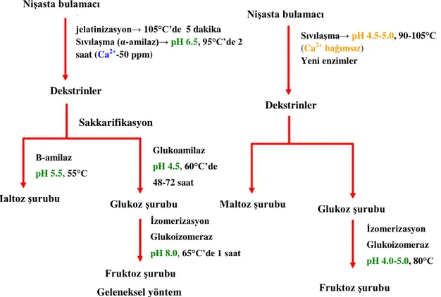 Şekil 2. 3. İdeal yöntem ve geleneksel yöntemle nişasta sıvılaştırma basamakları 