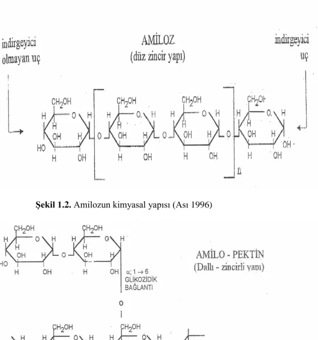 Şekil 1.3. Amilopektinin kimyasal şekli (Kalaycıoğlu ve ark. 2000) 