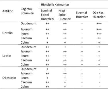 Tablo 1. Keklik bağırsağında ghrelin, leptin ve obestatin immunore-