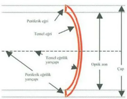 Şekil 14. Kontakt lens parametreleri: Temel eğri, optik zon, çap