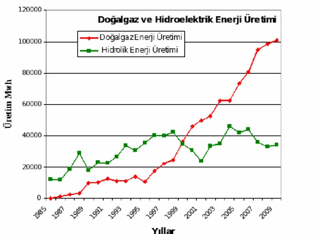 Şekil 1.1. Doğalgaz ve Hidroelektrik Enerji Üretimi (USİAD, 2010). 