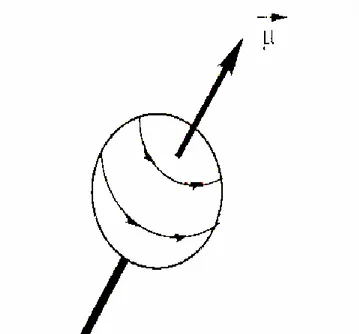 Şekil 2.1. Atom çekirdeği hareketinin şematik gösterimi (Balcı 2004) 