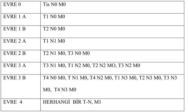 Tablo 7: TNM evreleme sistemine göre gruplar 