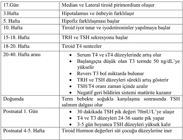 Tablo  2:  Fetusta  Hipotalamus-Hipofiz-Tiroid  Aksının  Anatomik  ve  Fonksiyonel 