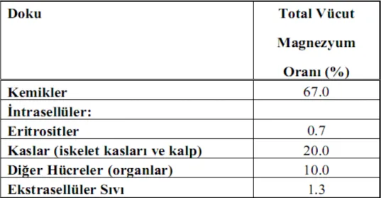 Tablo 1: İnsan vücudunda magnezyum dağılımı