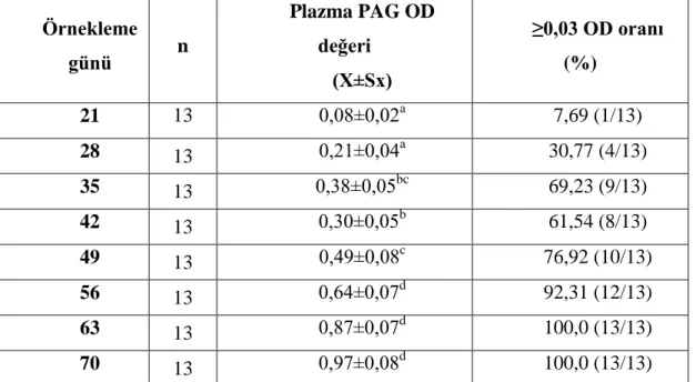 Tablo 2. Günlere göre ortalama plazma PAGs-OD değerleri ve yüzdeleri  Örnekleme  günü  n  Plazma PAG OD değeri  (X±Sx)  ≥0,03 OD oranı (%)  21  13  0,08±0,02 a  7,69 (1/13)  28  13 0,21±0,04 a 30,77 (4/13)  35  13 0,38±0,05 bc 69,23 (9/13)  42  13 0,30±0,0