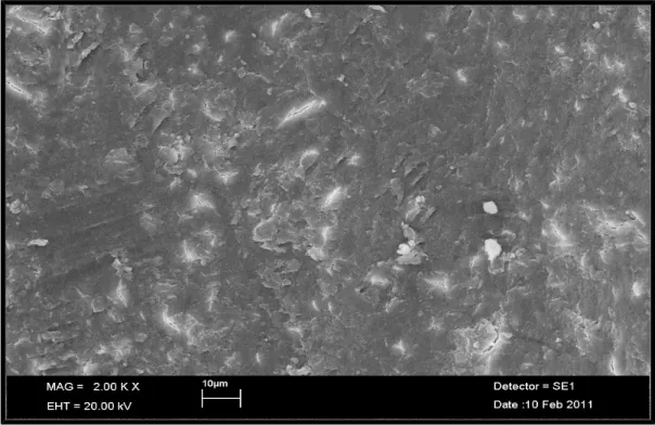 Şekil 16. Mtwo/NaOCl/Orta bölge SEM görüntüsü. Yoğun ve homojen smear          