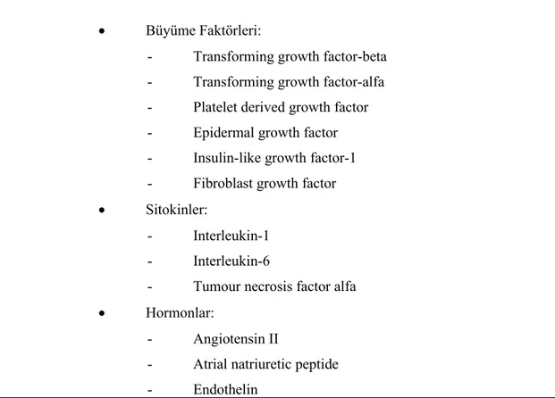 Tablo 5. Kronik Böbrek Yetmezliği Sürecinde Rol Oynadığı Düşünülen Peptitler.