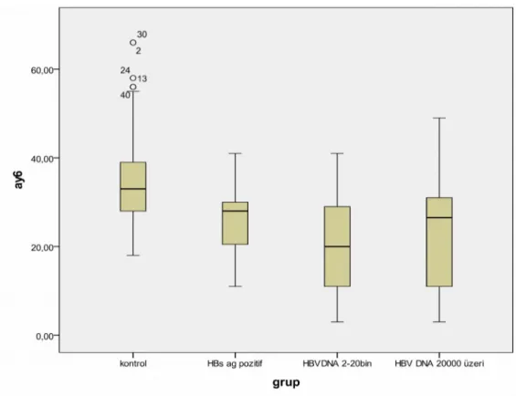 Şekil 2 Grupların 6.ay D vitamini düzeyleri 