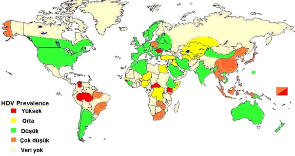 Şekil 1. HDV infeksiyonun dünya üzerindeki dağılımı  