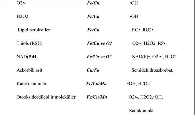 Tablo 3. Daha potent reaktif ürünleri oluşturmada metal iyonlarının rolleri (116 ) O2•-                                                   Fe/Cu                         •OH