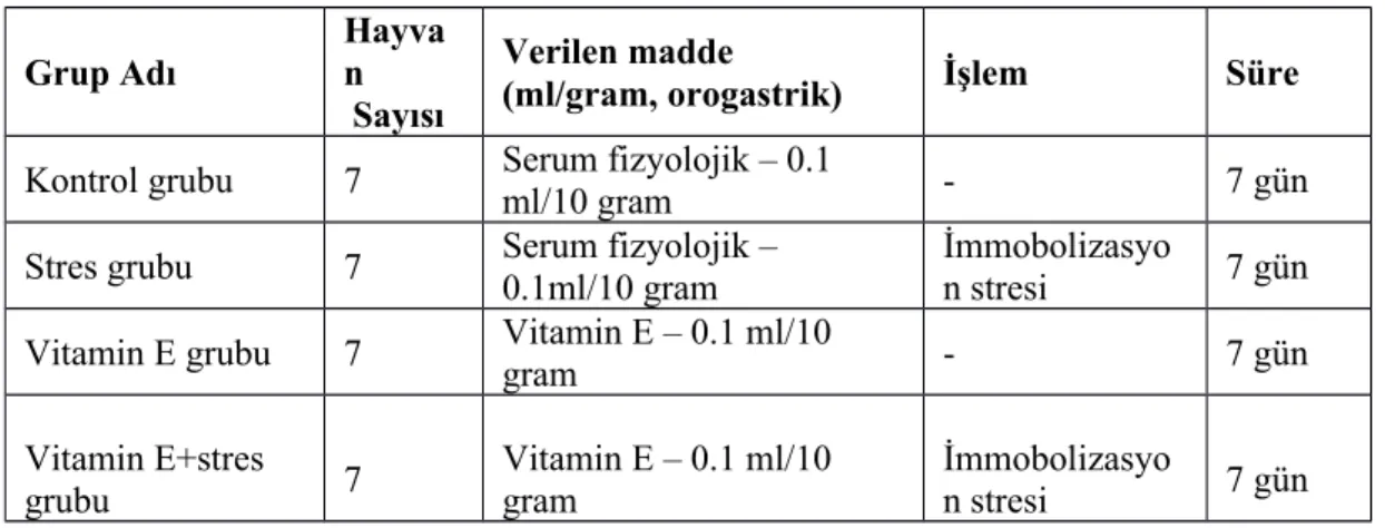 Tablo 1: Deneyde kullanılan gruplardaki farelere verilen serum fizyolojik ve vitamin E’nin 