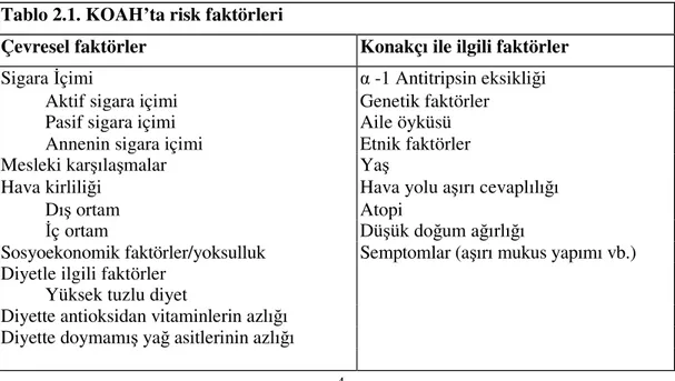 Tablo 2.1. KOAH’ta risk faktörleri  