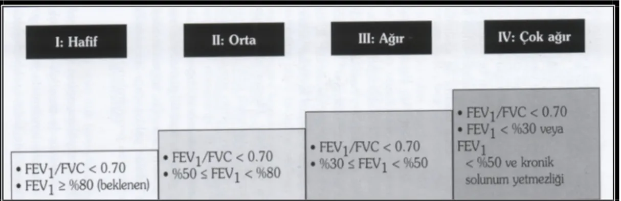 Şekil 2.8. KOAH’ta V.C.R.V., ve TLC’deki değişiklikler. [67]