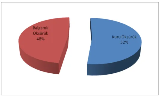 Şekil 2. Olguların öksürük karakteri