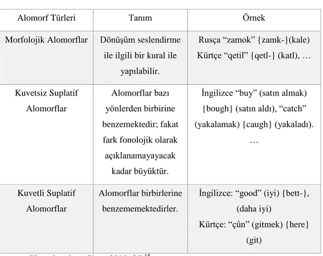 Tablo 6: Alomorf Türleri  