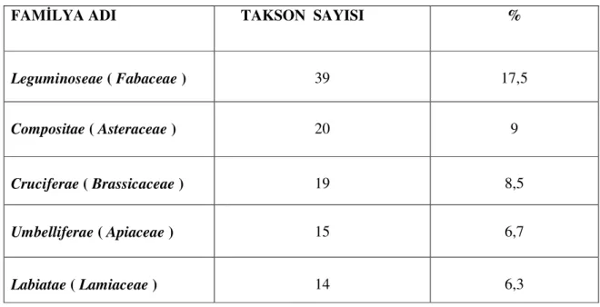 Tablo 1 : En çok takson içeren familyalar 