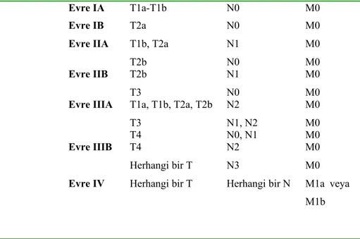 Tablo 6. Akciğer kanseri TNM sınıflandırması 7. edisyon (144).