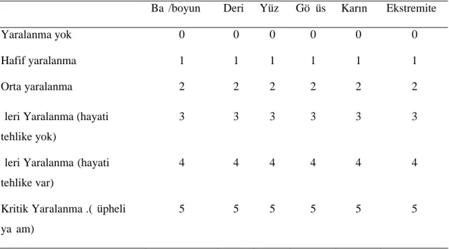 Tablo 4: ISS puanları (1).