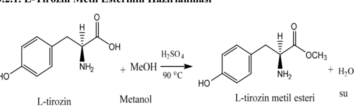 Şekil 3.1. L-Tirozin Metil Esteri Sentez Reaksiyonu 