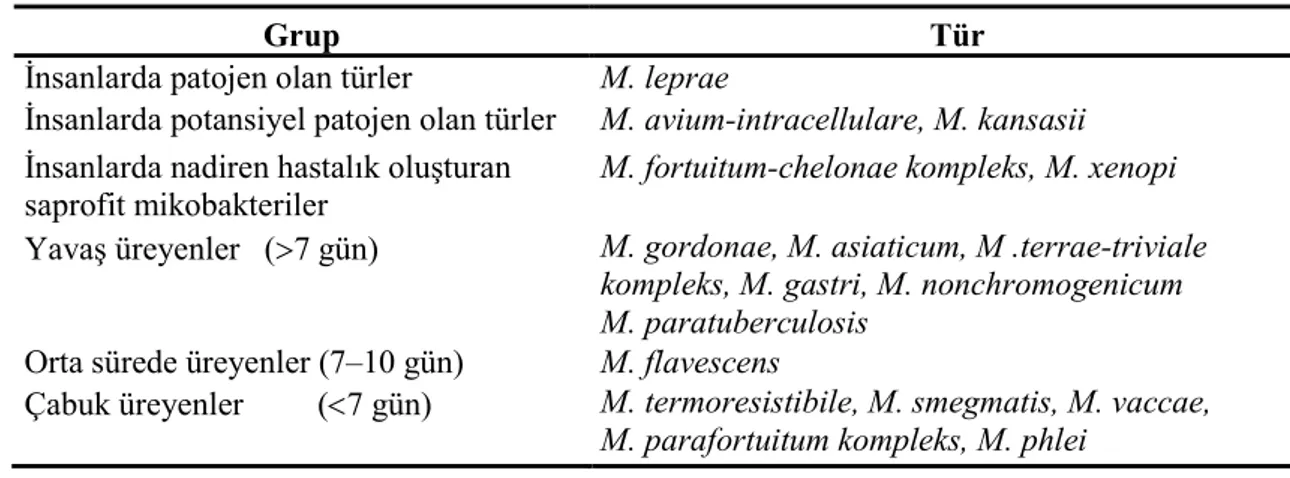 Tablo 1: M.tuberculosis komplex dışındaki mikobakteriler (9)  