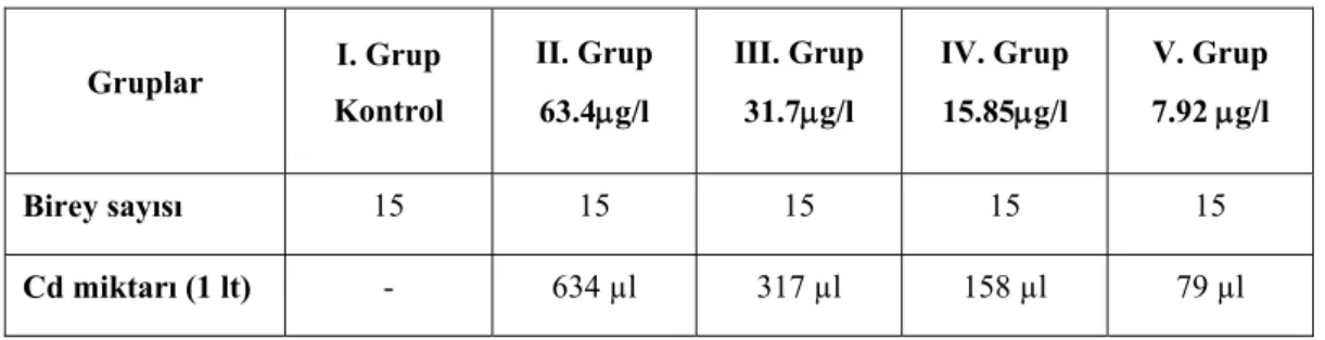 Tablo 2. 1 litre su için kadmiyum konsantrasyonları. 