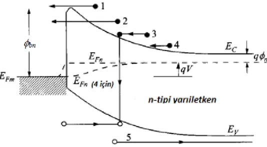 Şekil 3.9. Doğru beslemde metal/n-tipi yarıiletken yapıların farklı akım-iletim kuramları: (1) 