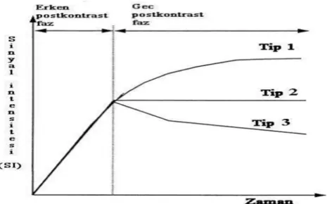 Şekil 5. Kontrastlanma kinetiği eğrileri  