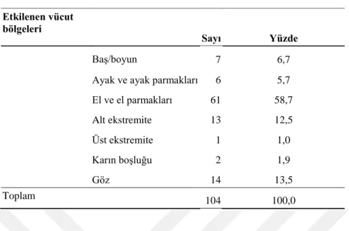 Tablo 12. İş Kazası Sonrası Etkilenen Vücut Bölgeleri   Etkilenen vücut  bölgeleri   Sayı                                              Yüzde   Baş/boyun  7  6,7 