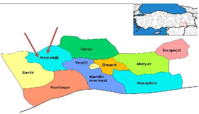 Şekil 3.1.  Mardin ili bağ alanlarında thysanoptera türlerinin örneklendiği yöreler (Anonim 2013c)