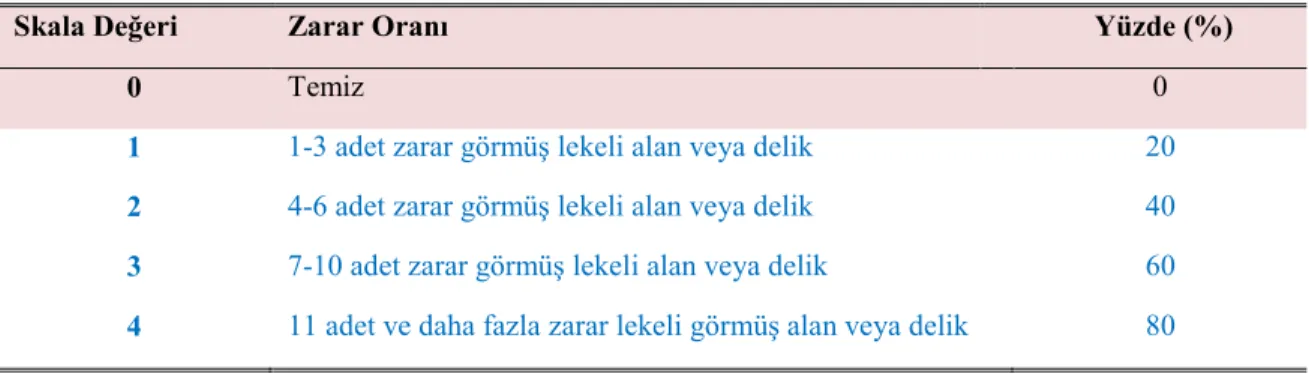 Çizelge 3.2. Bağ yapraklarında thripslerin yaptığı zararın cetvel  (0-4) skalası esaslarına göre belirlenmesi 