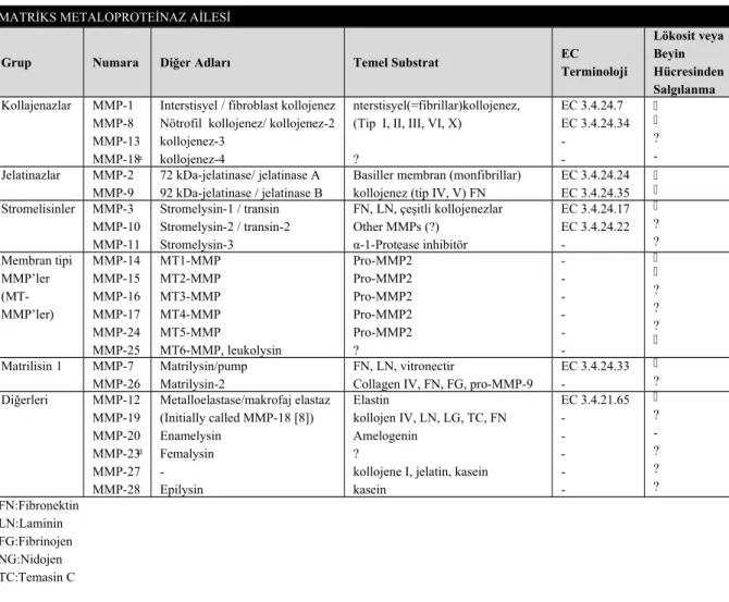 Tablo 7. Matriks metalloproteinaz ailesi (66, 67)