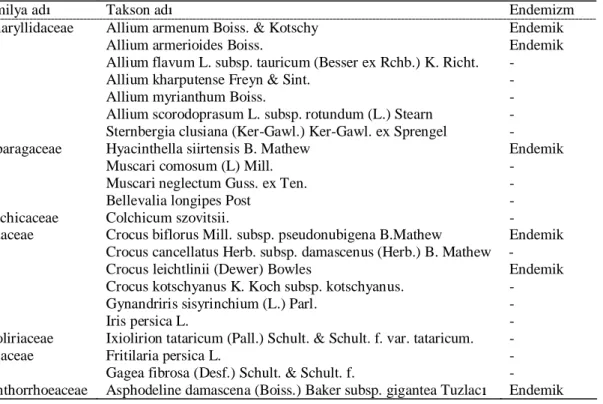 Çizelge 5.1. Maz da  ilçesinde tespit edilen taksonlar 