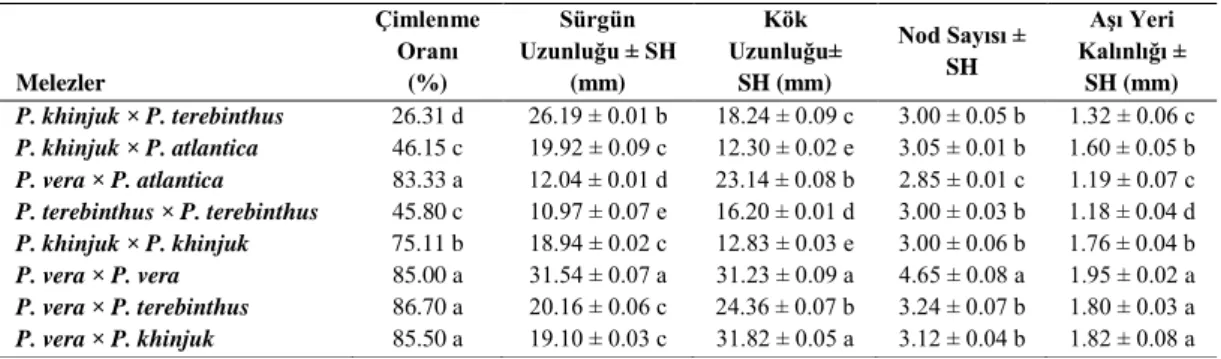 Çizelge 4.4. 1 mg/l BA içeren besi ortamında çimlendirilen melez tohumlardan gelişen fidanların 