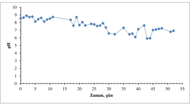 Şekil 4.5. Sentetik atıksu ile MBR işletiminde pH değişimi 