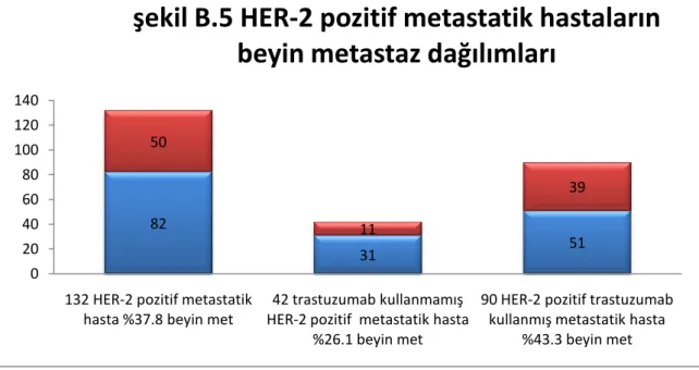 şekil B.5 HER-2 pozitif metastatik hastaların  beyin metastaz dağılımları