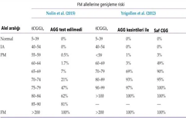 Tablo 3: Maternal CGG Tekrar Numarası Aleline ve AGG Kesintilerinin Varlığına/Yokluğuna Göre Bir FM'ye genişleme riski (29, 132, 133).