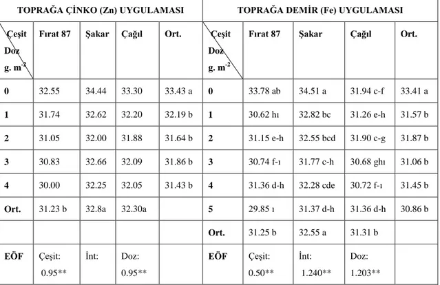 Çizelge 4.4. 2012-2013 sezonunda üç mercimek çeşidinde (Şakar, Çağıl ve Fırat  87)  toprağa farklı çinko ve demir uygulamasından elde edilen bitki boyu (cm) ortalama  değerleri ve oluşan gruplar 