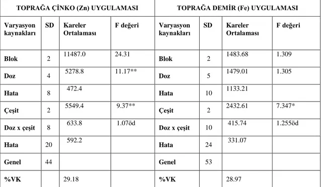 Çizelge 4.7. 2012-2013 sezonunda üç mercimek çeşidinde (Şakar, Çağıl ve Fırat 