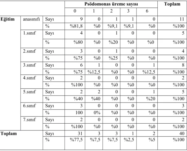 Tablo 9: Eğitim Seviyesine Göre P. aeruginosa Üreme Oranları