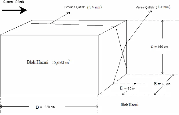 Şekil  3.7.    Orijinal  Elazığ  Vişne  Bloğunun  Geometrisi  ve  Çatlak  Konumlarının  Ölçekli Çizimi 