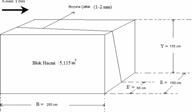 Şekil 3.11. Boyuna Çatlak Đçeren Elazığ Vişne Bloğunun Geometrisi ve Çatlak  Konumunun Ölçekli Çizimi 