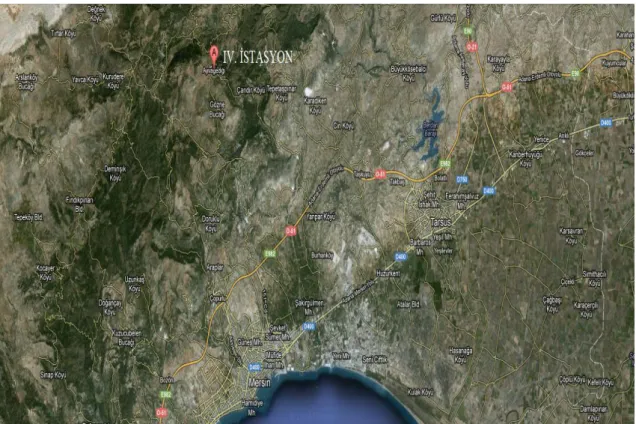 ġekil 3.5. IV.İstasyon: Ayvagediği 